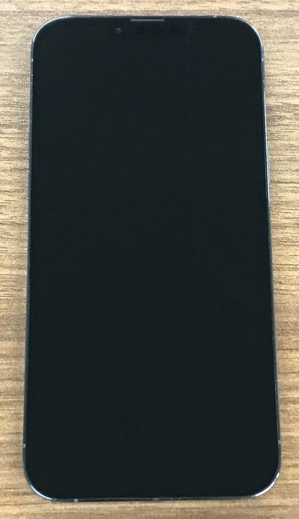 ��JCKA�ۡ� SIM�ե��  iphone13promax�� 256GB  �֥롼����