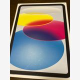 ����̤������iPad10 ��10���塡256GB wifi+cellular