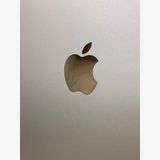 �����ʡ�iPadAir2 Wi-Fi/64GB/�������