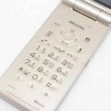 �ò��� docomo P-01G ������� ���饱�� 0525