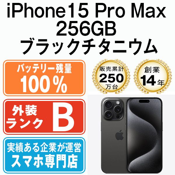 ����š� iPhone15 Pro Max 256GB �֥�å������˥��� ip15pmmtm2344a