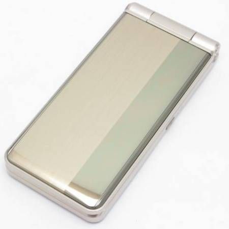 �ò��� docomo P-01G ������� ���饱�� 0525