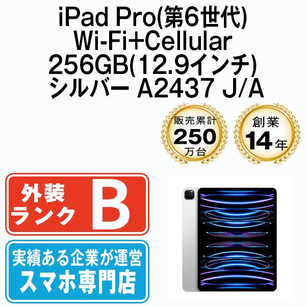 ����š� iPad Pro ��6���� Wi-Fi+Cellular 256GB 12.9����� ����С� A2437 ipdp6mtm2934