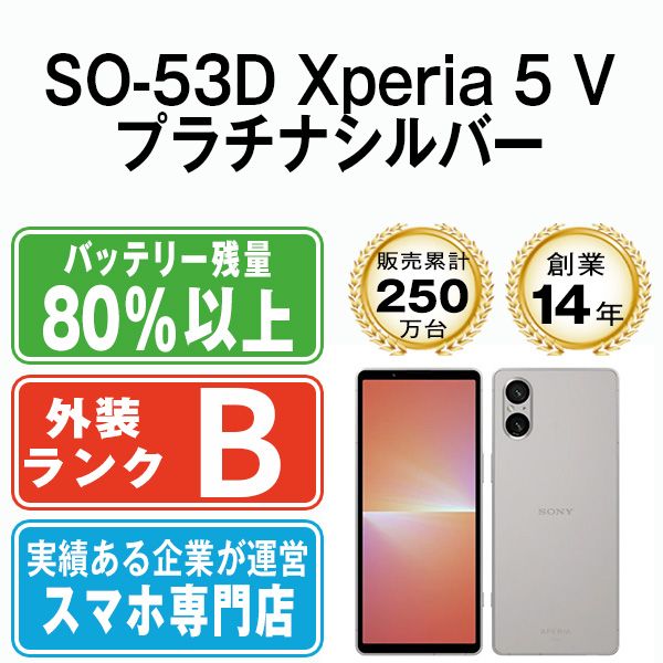 ����š� SO-53D Xperia 5 V �ץ���ʥ���С� so53dsv7mtm