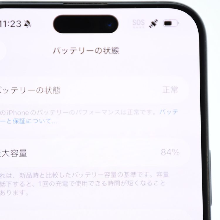 �����ʡ�SIM�ե꡼ iPhone15 Pro Max 256GB �֥롼�����˥���