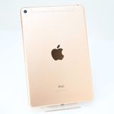 �����ʡ�SIM�ե꡼iPad mini 5 Wi-Fi + Cellular 256GB �������