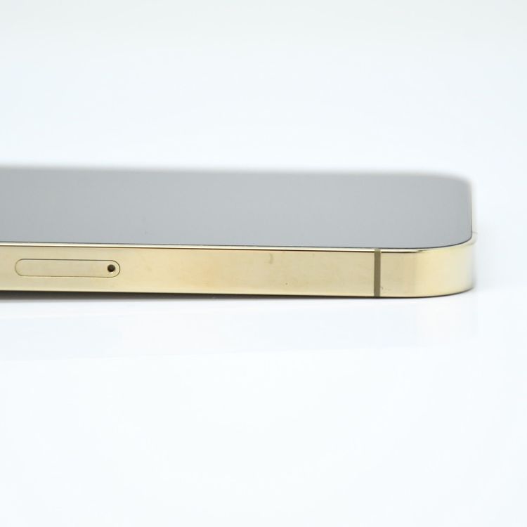 �ڱվ����ʡ�docomo SIM�ե꡼iPhone13 Pro 256GB �������