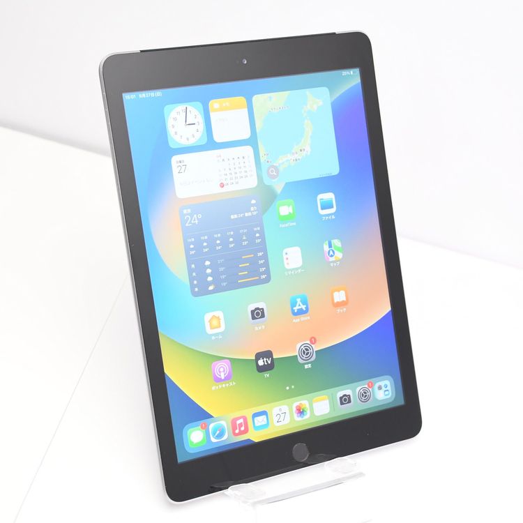�����ʡ�docomo SIM�ե꡼iPad ��5���� 128GB ���ڡ������쥤