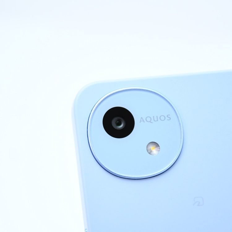 ڿƱ͡docmo SIMե꡼ AQUOS wish4 SH-52E ֥롼