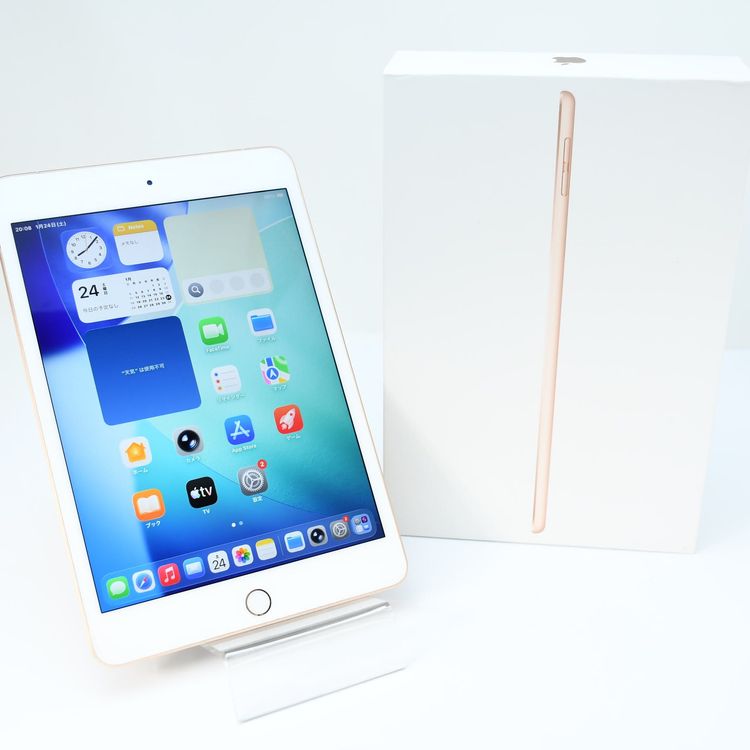 �����ʡ�SIM�ե꡼iPad mini 5 Wi-Fi + Cellular 256GB �������