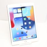 docomo iPad Air2 64GB �������