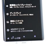 ʡɹ SIMե꡼ docomo AQUOS R6 SH-51B ۥ磻