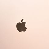 ʡɹ96SIMե꡼ iPad 7 32GB 