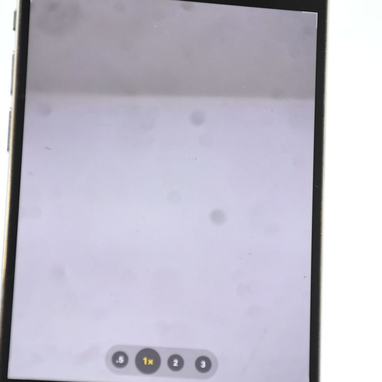 �����̳�����°�ʴ�����docomo SIM�ե꡼ iPhone14 Pro Max 256GB