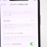 �ڱվ����ʡ������Хåƥ꡼100���docomo SIM�ե꡼ iPhone X 256GB
