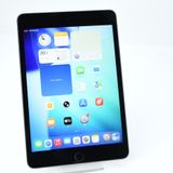 �����ʡ�iPad mini 5 Wi-Fi 64GB ���ڡ������쥤