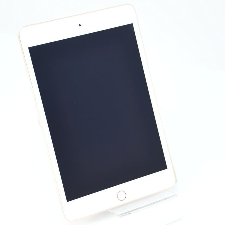 �����ʡ�SIM�ե꡼iPad mini 5 Wi-Fi + Cellular 256GB �������