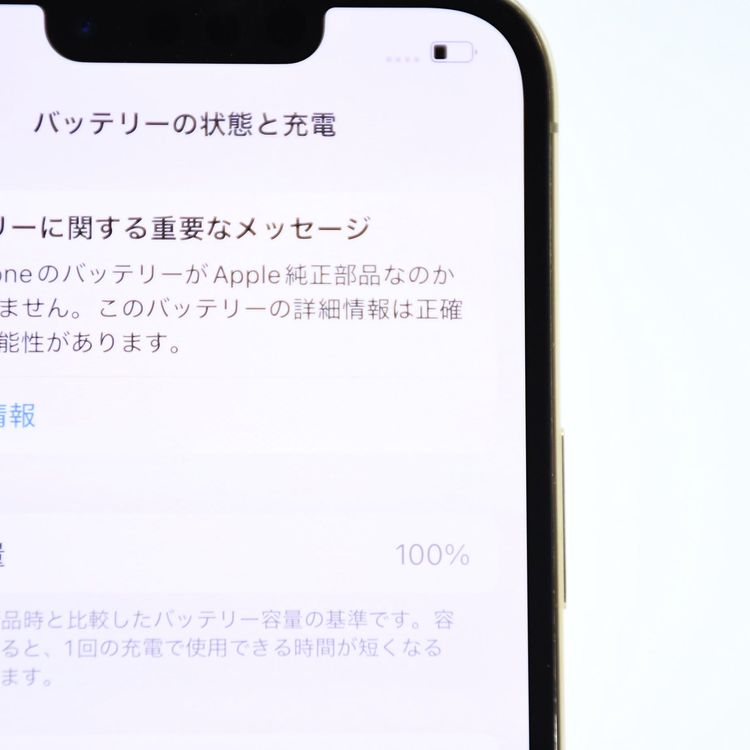 ��ư���ǽ������100������ʡ�SIM�ե꡼ iPhone13 Pro 256GB �������