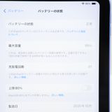 �ڶ˾����ʡ�����99%���ݾ�ͭ��iPad A16 (��11����) Wi-Fi��ǥ� 128GB