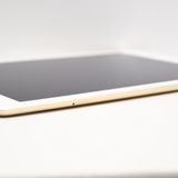 docomo iPad Air2 64GB �������