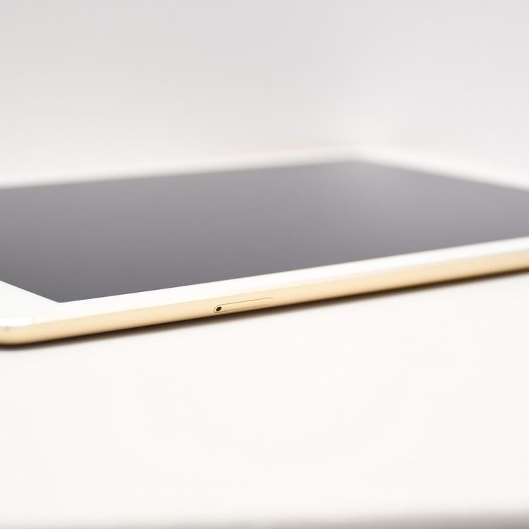 docomo iPad Air2 64GB �������