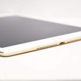 docomo iPad Air2 64GB �������
