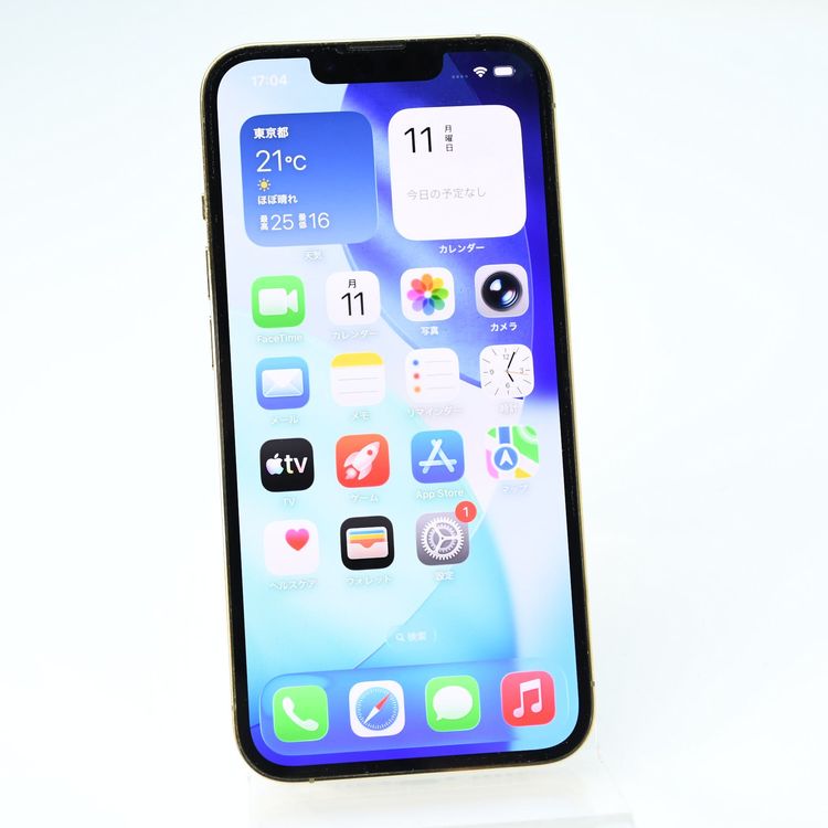 �ڱվ����ʡ�docomo SIM�ե꡼iPhone13 Pro 256GB �������