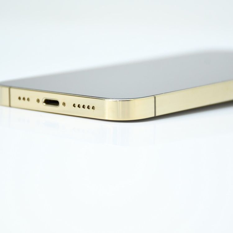 �ڱվ����ʡ�docomo SIM�ե꡼iPhone13 Pro 256GB �������