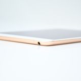 �����ʡ�SIM�ե꡼iPad mini 5 Wi-Fi + Cellular 256GB �������