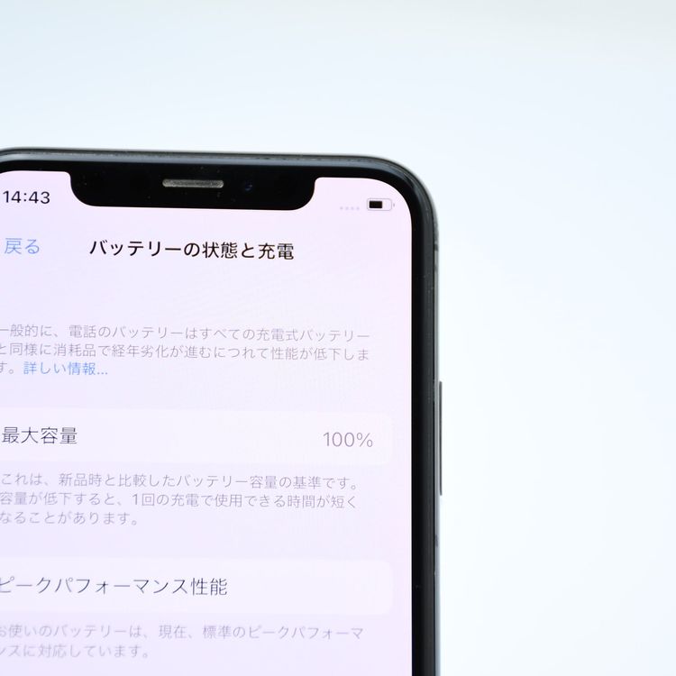 �ڱվ����ʡ�ư��ġ�����100 %��SIM�ե꡼iPhone X 256GB ���ڡ������쥤