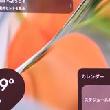 SIM�ե꡼ Google Pixel 9 Pro Fold 256GB �ݡ������