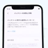 ưġ100 % docomo SIMե꡼ iPhone12 mini 128GB