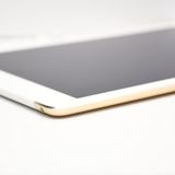 docomo iPad Air2 64GB �������