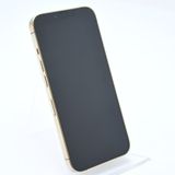 ڽХåƥ꡼ 100ʡdocomo iPhone13 Pro 128GB