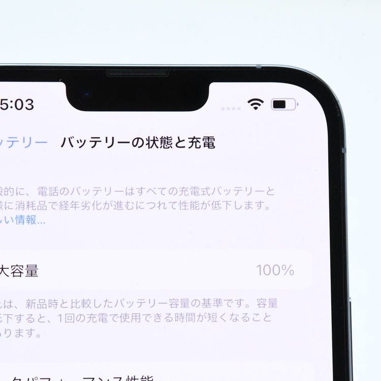 ڿƱ͡100%SIMե꡼ iPhone13 Pro Max 256GB֥롼