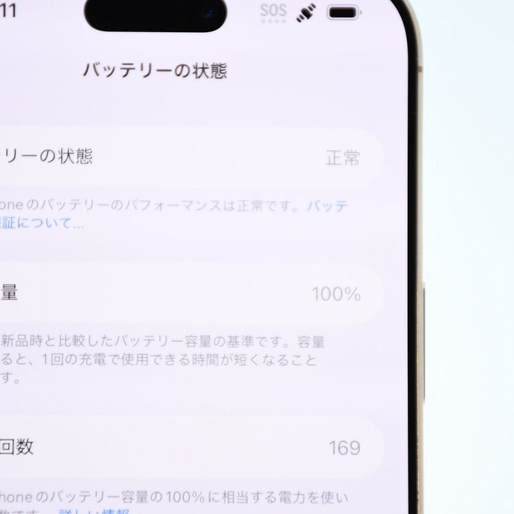 �ڿ���Ʊ�͡���������100%��SIM�ե꡼iPhone16 Pro Max 256GB