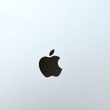ڿƱ͡Хåƥ꡼100% iPad 10 256GB С Wi-Fiǥ