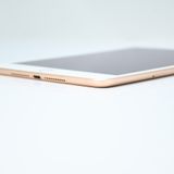 �����ʡ�SIM�ե꡼iPad mini 5 Wi-Fi + Cellular 256GB �������