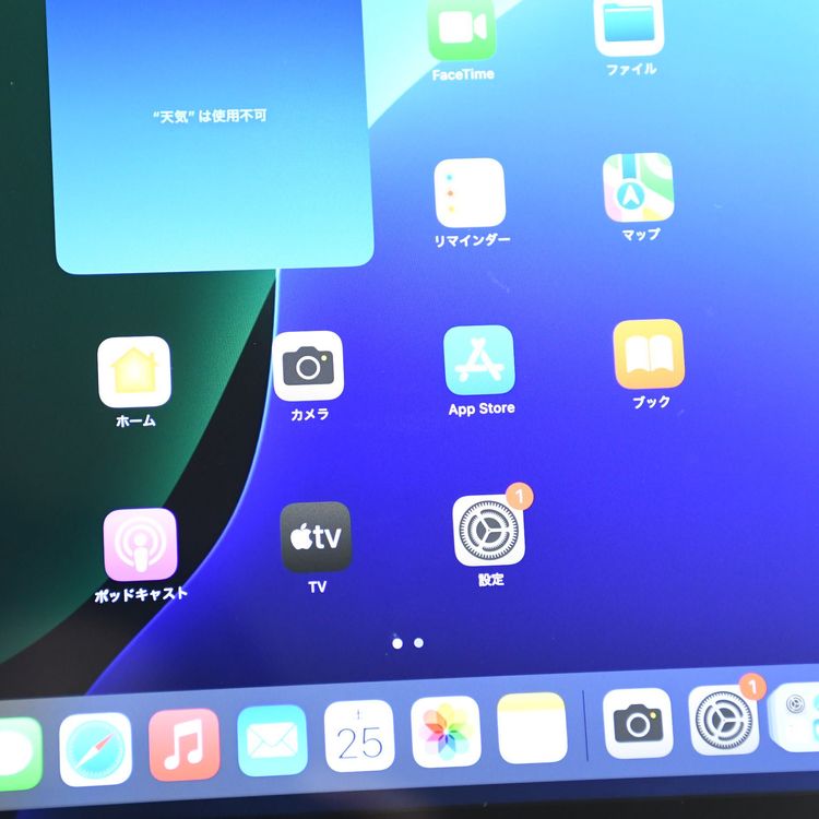 【256GB】iPad 第9世代 Wi-Fiモデル 256GB シルバー