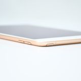 �����ʡ�SIM�ե꡼iPad mini 5 Wi-Fi + Cellular 256GB �������