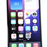 ưġ100 % doocomo SIMե꡼ iPhoneSE 裳 64GB