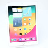docomo SIM�ե꡼iPad ��6���� Wi-Fi + Cellular 32GB