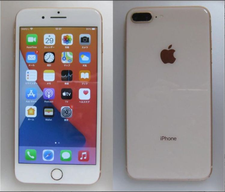 49���վ�&���ӿ���100��iPhone��Plus��256GB ��SIM�ե꡼