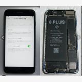 15ӿ100% iPhonePlus 256GB SIMե꡼