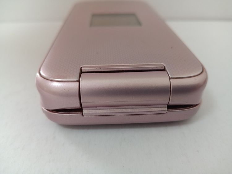 �� docomo �餯�餯�ۥ� F-01M �ԥ�