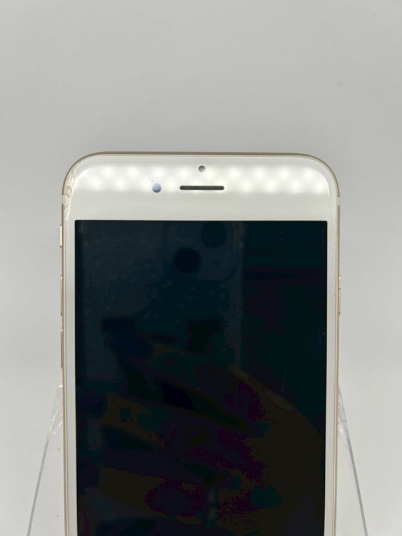 ϥԥͥͥå iPhone6  64GB  ̵