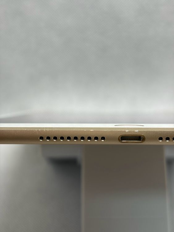 ��iPad mini ��4���� 16GB �������