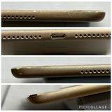 ��SIM�ե꡼ iPad mini ��4���� 16GB �������