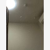 ��SIM�ե꡼ iPhone12mini 128GB �ѡ��ץ�