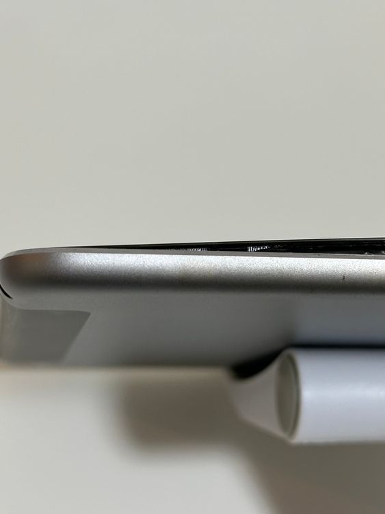��iPad mini 4 128GB ���ڡ������쥤 docomo